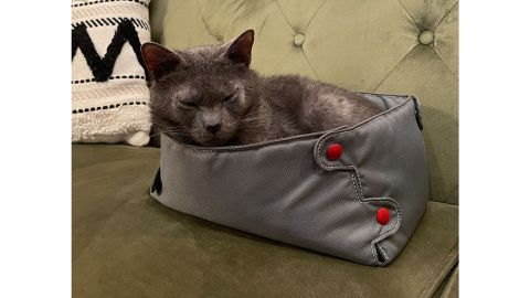 underscored Cat Compression Box