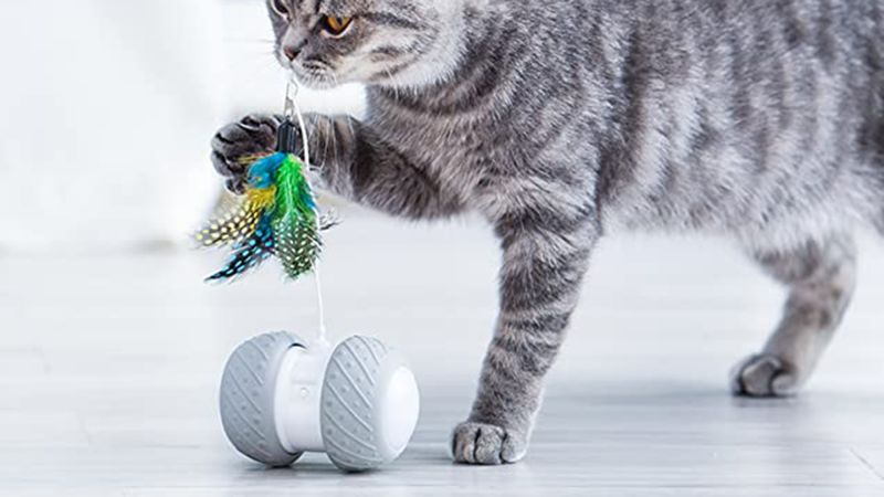 pet genius smart play rover cat toy