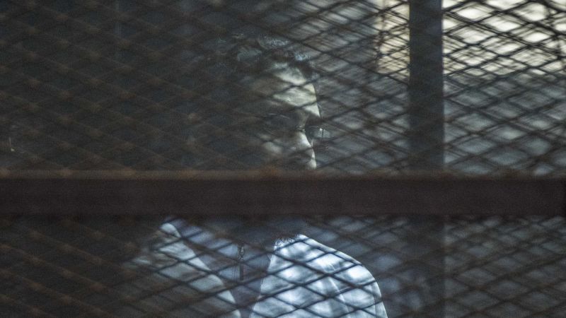 Imprisoned Egyptian-British activist's mother marks 100 days of hunger strike, says family