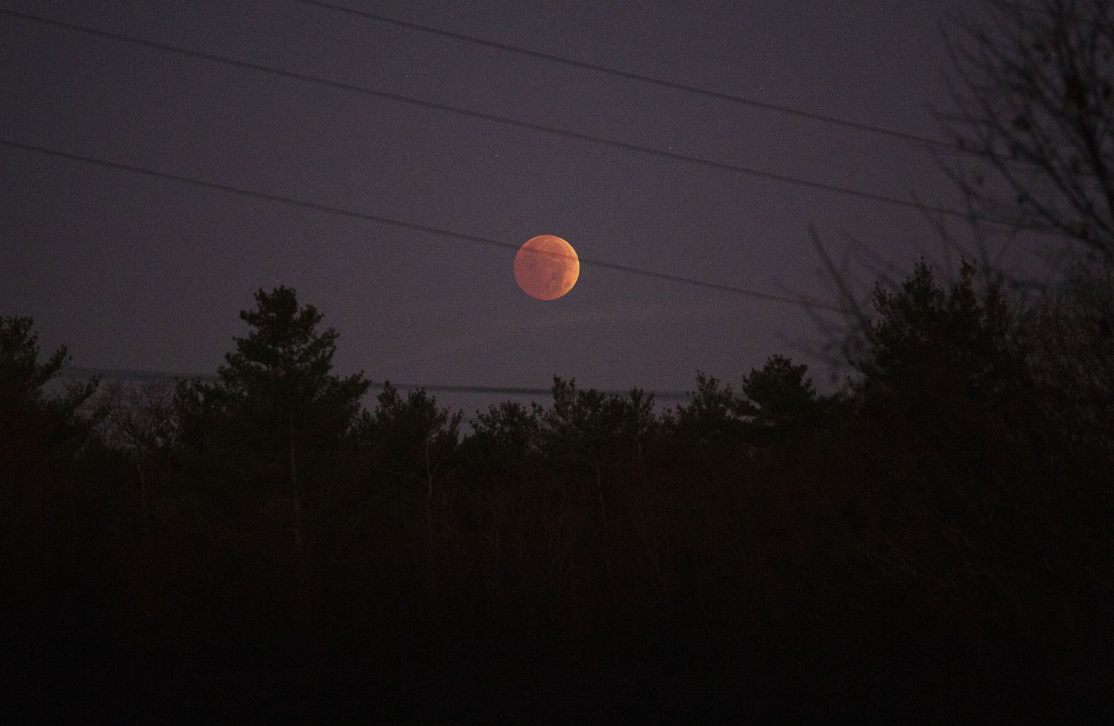 The last total lunar eclipse for 2.5 years stunned viewers on November 8. This view is from Albany, New York.