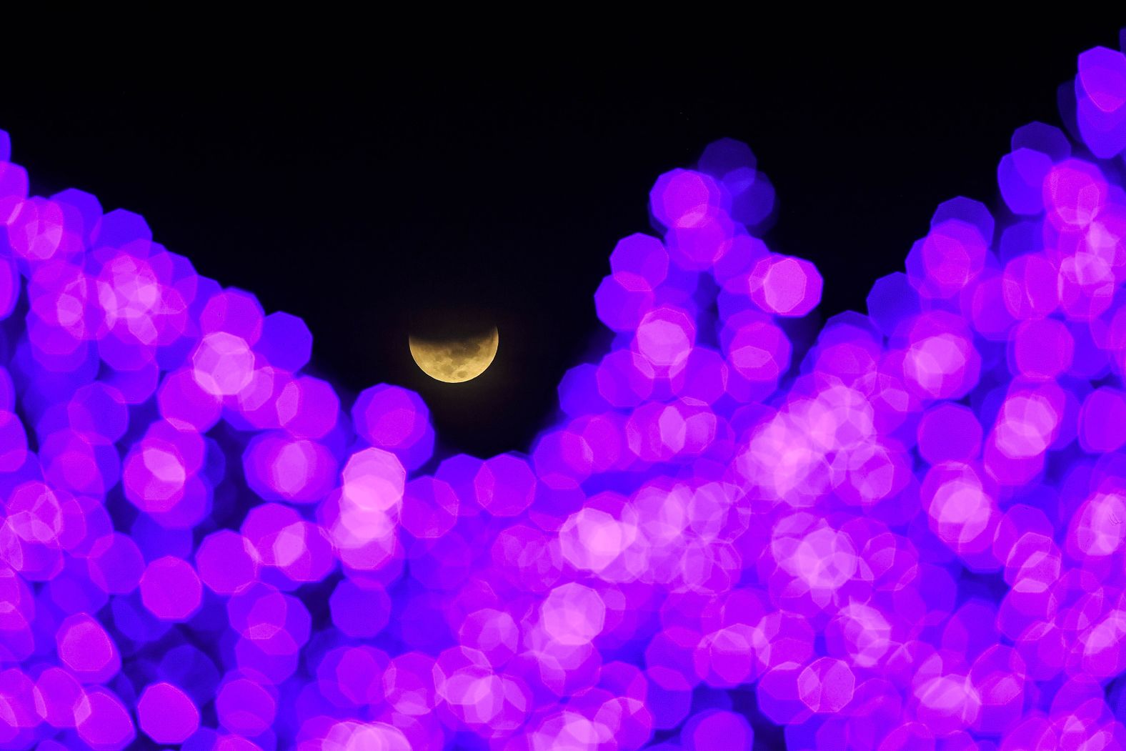 The Earth's shadow starts to cover the moon during a lunar eclipse, as seen past Christmas lights at a public square in Caracas, Venezuela, early on November 8.