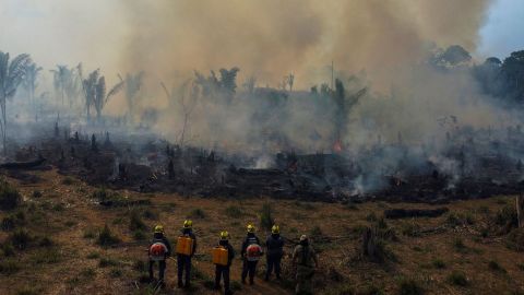 Firefighters and volunteers combat a fire on the Amazonia rainforest in Apui, southern Amazonas State, Brazil, on September 21, 2022.