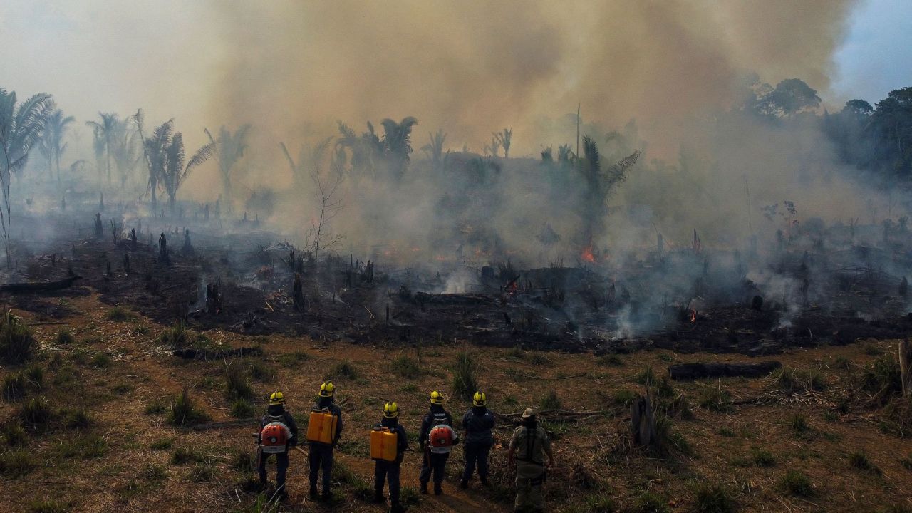 Firefighters and volunteers combat a fire on the Amazonia rainforest in Apui, southern Amazonas State, Brazil, on September 21, 2022.