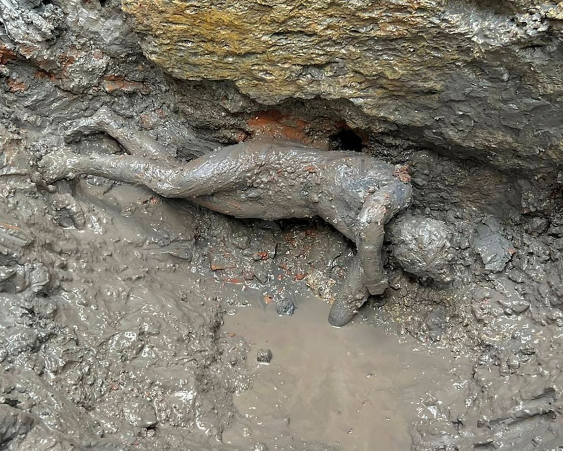 A newly discovered 2,300-year-old bronze statue lies on the ground in San Casciano dei Bagni, Italy.