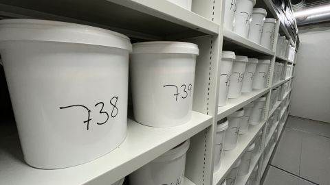 Kirsten Abildtrup's brain, in bucket 738, sits on a shelf at the University of Southern Denmark in Odense.