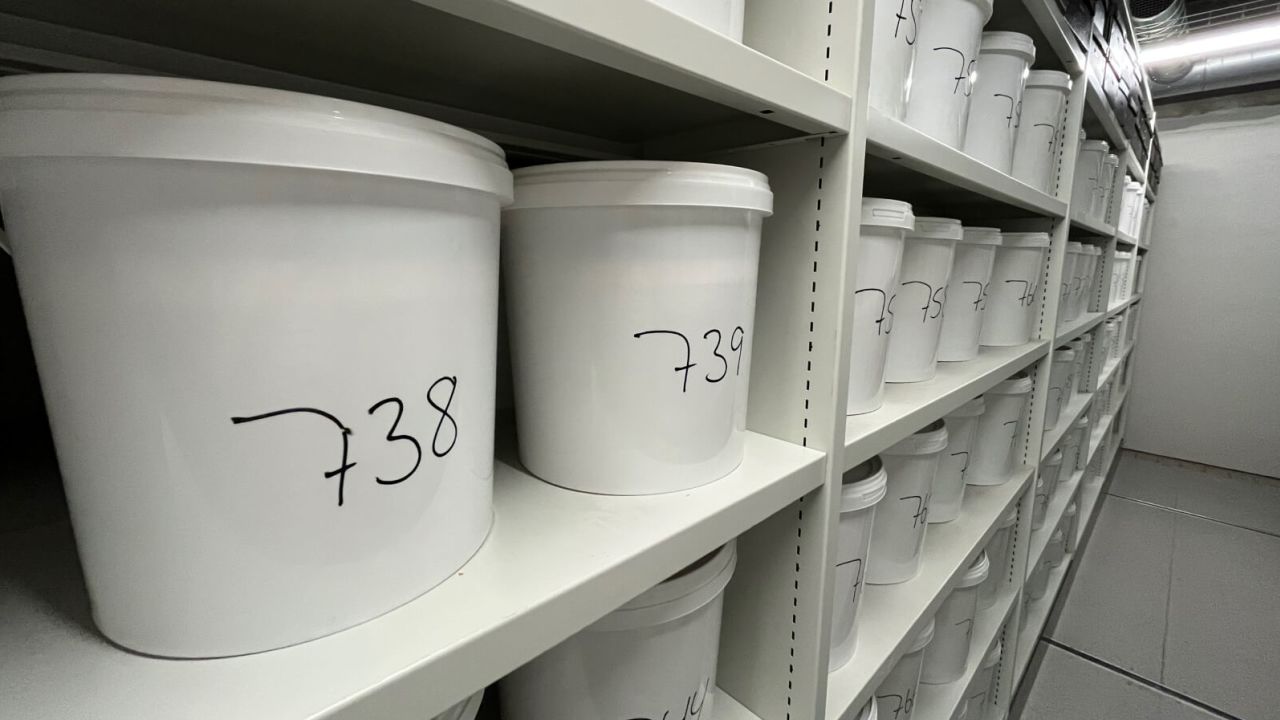 Kirsten Abildtrup's brain, in bucket 738, sits on a shelf  at the University of Southern Denmark in Odense.