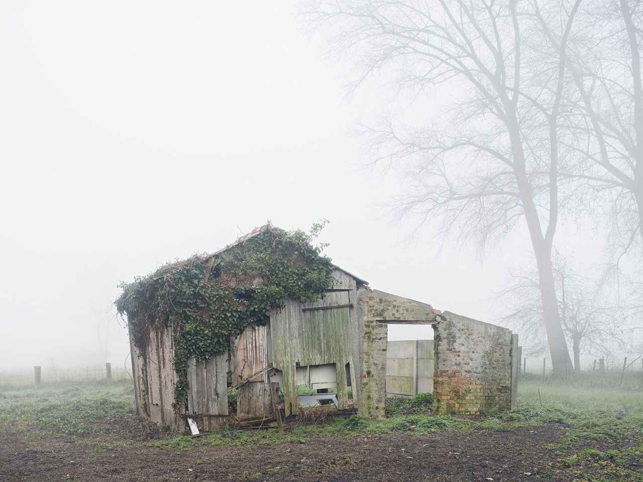 Shortlisted in the sense of place category, Servaas Van Belle's photo "Vernacular Animal Shed" was taken in Lissewge, Belgium.