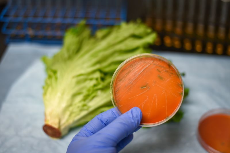 How To Protect Yourself From A Listeria Outbreak | CNN