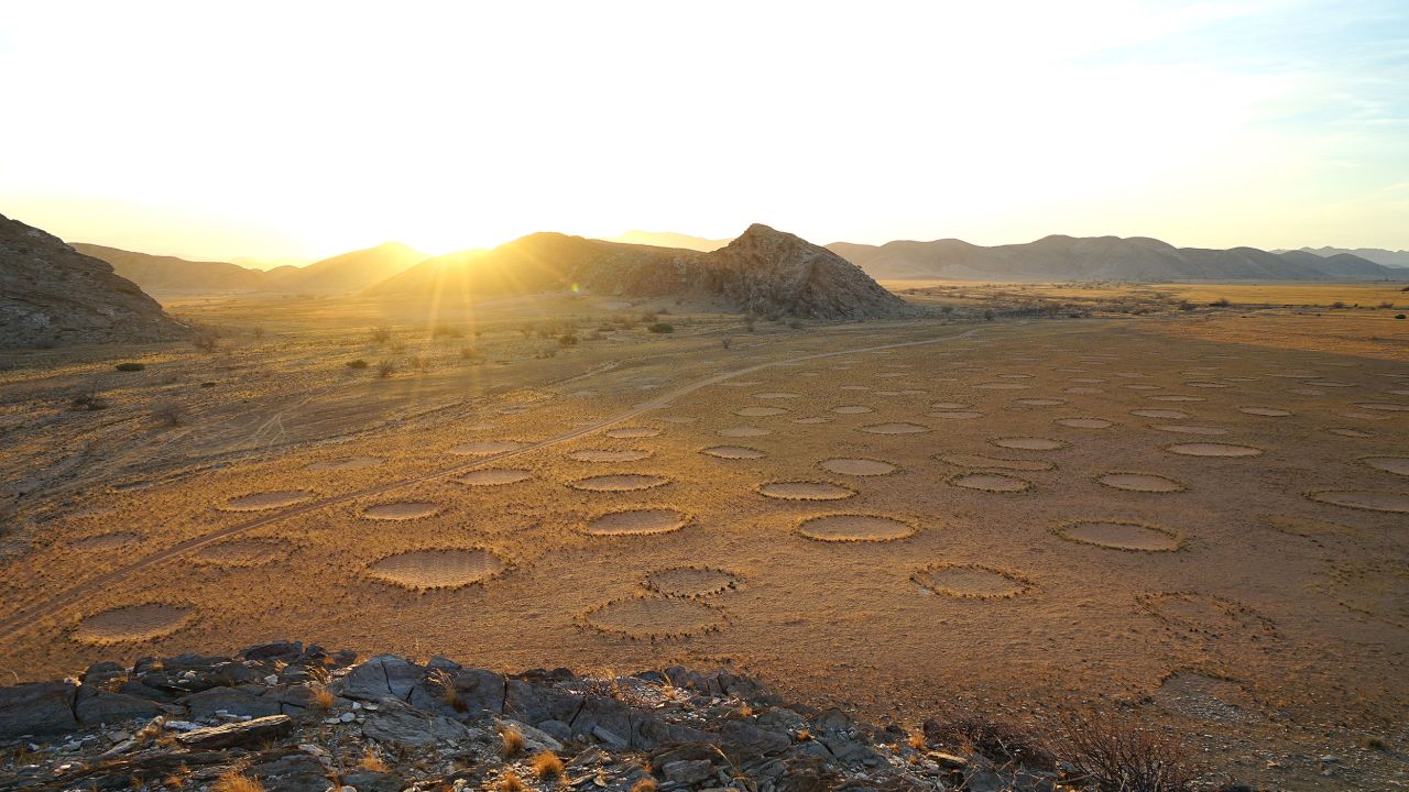 Called fairy circles, these unusual circular patches of barren land that form patterns in the Namib Desert have a whimsical name, but no mythical beings are at play here.