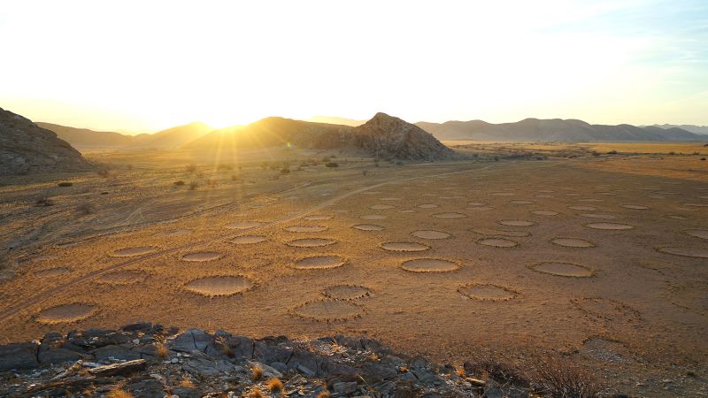 Misteriosos “círculos de fadas” no deserto do Namibe têm uma resposta científica