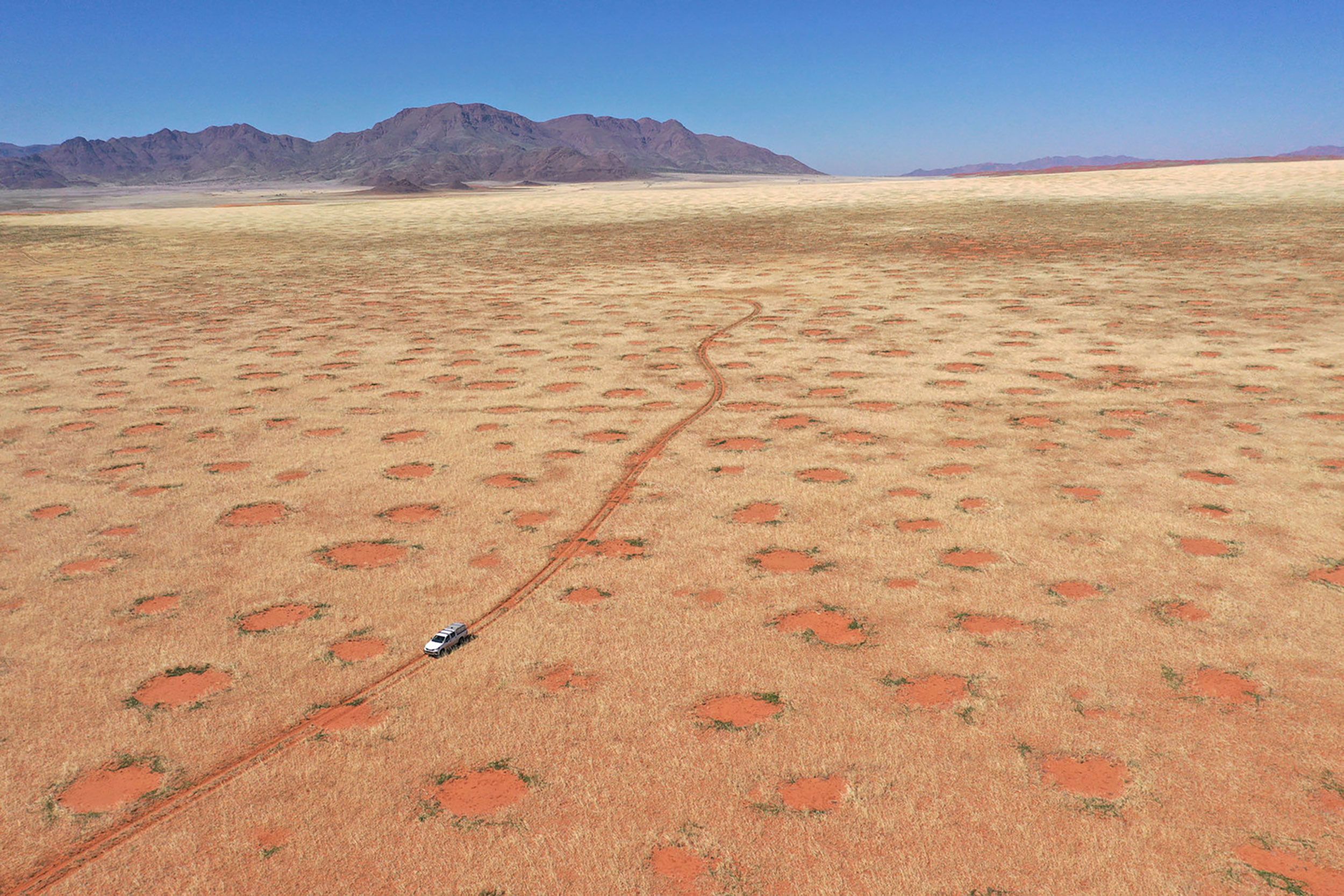 Mysterious 'fairy circles' in Namib Desert has scientific answer | CNN