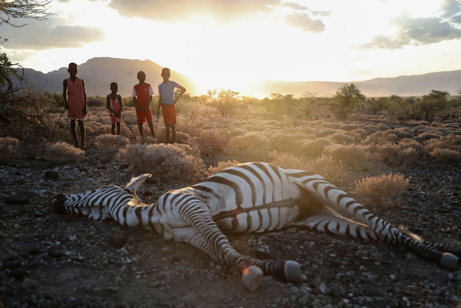 Children in the Kenyan village of Ilangeruani stand beside a zebra Wednesday, November 9, that local residents say died because of drought. A grueling two-year drought in Kenya <a href="https://www.cnn.com/2022/10/05/africa/kenya-drought-wildlife-climate-intl-cmd" target="_blank">has wiped out 2% of the world's rarest zebra species</a> and increased elephant deaths as well.