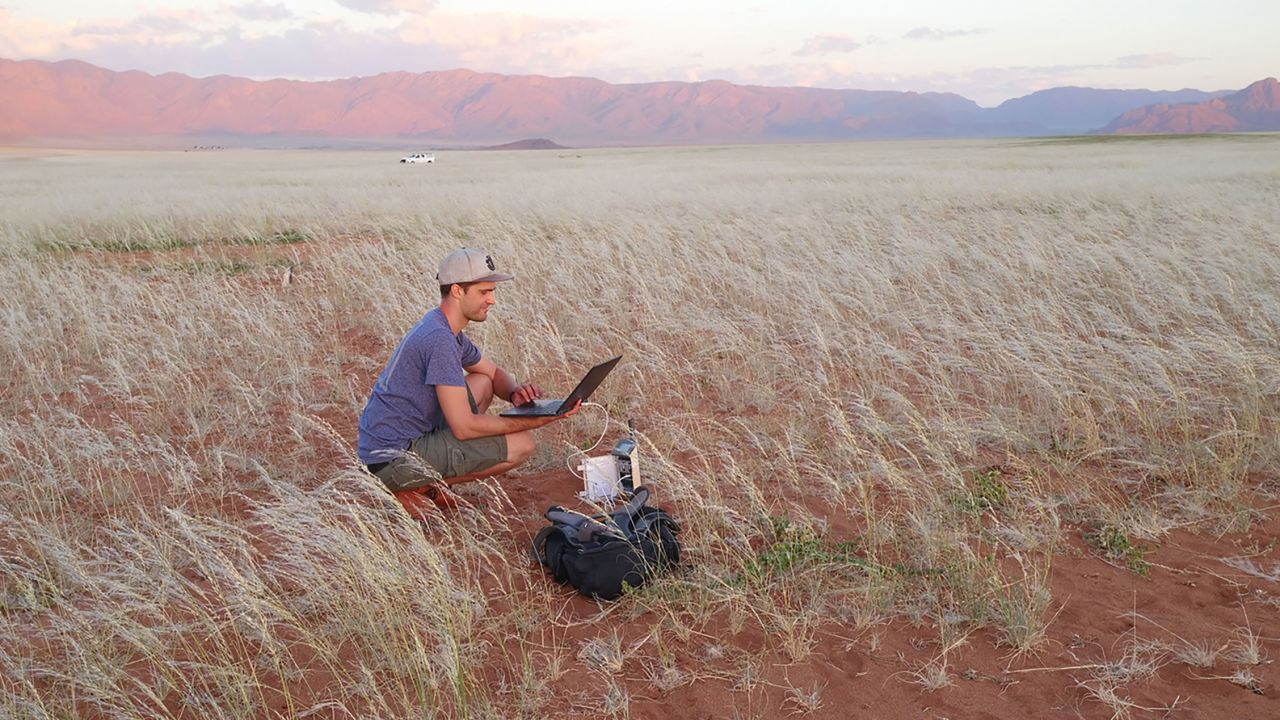 Getzin's coauthor, Sönke Holch of University of Göttingen, downloads data from a sensor in the Namib Desert in February 2021, when the grasses reached their peak biomass.