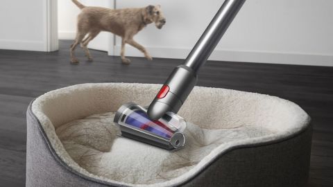 underscored dyson v12 detect