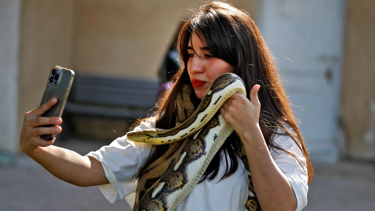An Iraqi woman snaps a picture of herself carrying a snake at the Baghdad zoo on Friday during an event aimed at familiarizing people with snakes and other crawling animals.  