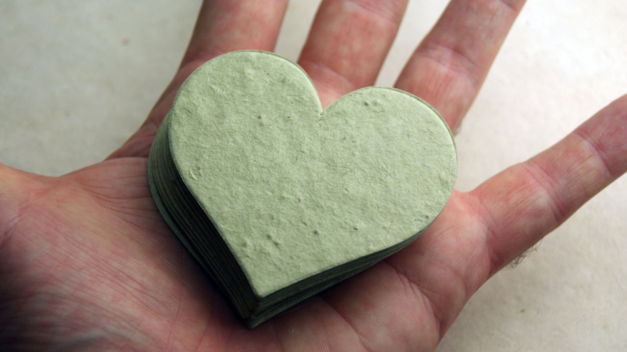 underscored FlowerSeedPaper Seed Paper Hearts, Set of 24