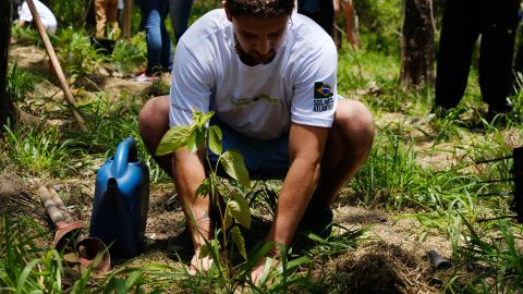 Um voluntário planta uma árvore no complexo SOS Mata Atlântica.  Diferentes espécies de plantas crescem em taxas diferentes, então os voluntários devem retornar às áreas reflorestadas por anos antes que um habitat seja totalmente restabelecido.