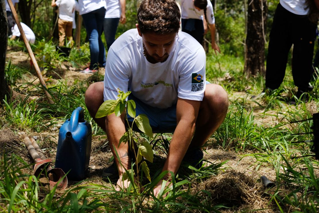 A volunteer plants a tree at the SOS Mata Atlantica compound. Different species of plants grow at different rates so volunteers have to keep coming back to reforested areas for years before a habitat is fully restored.