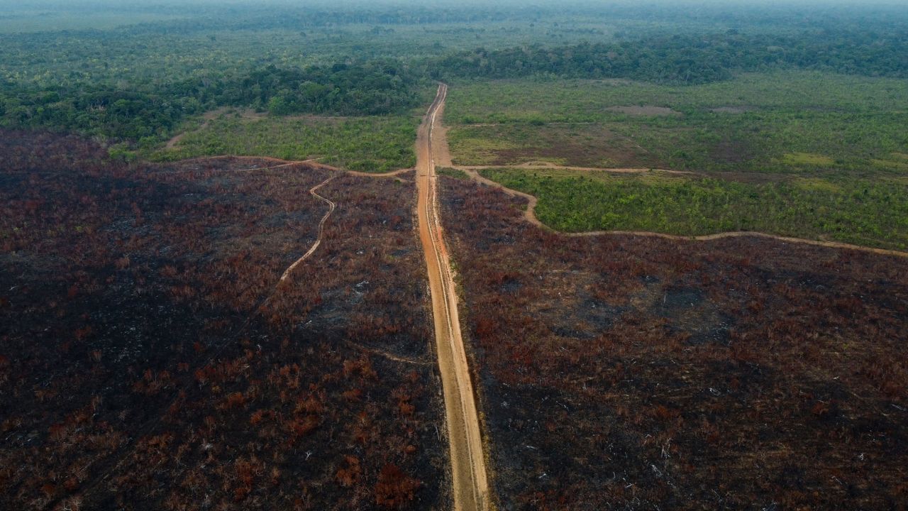 2022 年 9 月 15 日，巴西亚马逊州胡迈塔市附近的亚马逊雨林被砍伐的地区。