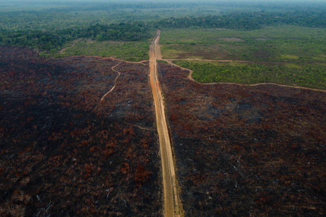 A deforested area of the Amazon rainforest near the city of Humaita, Amazonas state, Brazil, on September 15, 2022. 