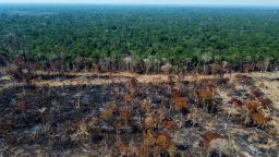 TOPSHOT - A deforested and burnt area is seen on a stretch of the BR-230 (Transamazonian highway) in Humaitá, Amazonas State, Brazil, on September 16, 2022. - According to the National Institute for Space Research (INPE), hotspots in the Amazon region saw a record increase in the first half of September, being the average for the month 1,400 fires per day. 