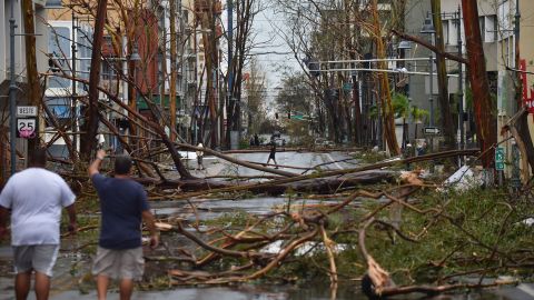 Damaged trees after the passage of Hurricane Maria, in San Juan, Puerto Rico, in September 2017.