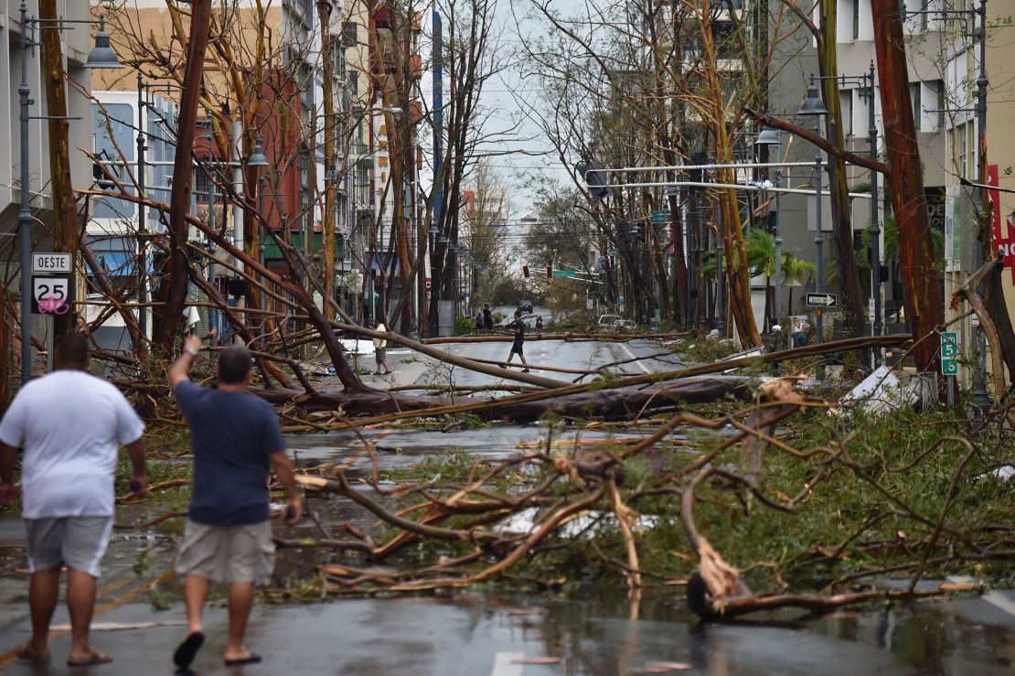 Damaged trees after the passage of Hurricane Maria, in San Juan, Puerto Rico, in September 2017.