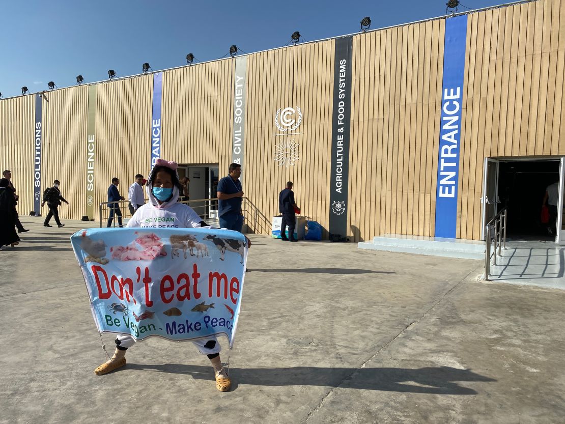 A protester outside the COP27 venue advocates for veganism as a solution to the climate crisis.
