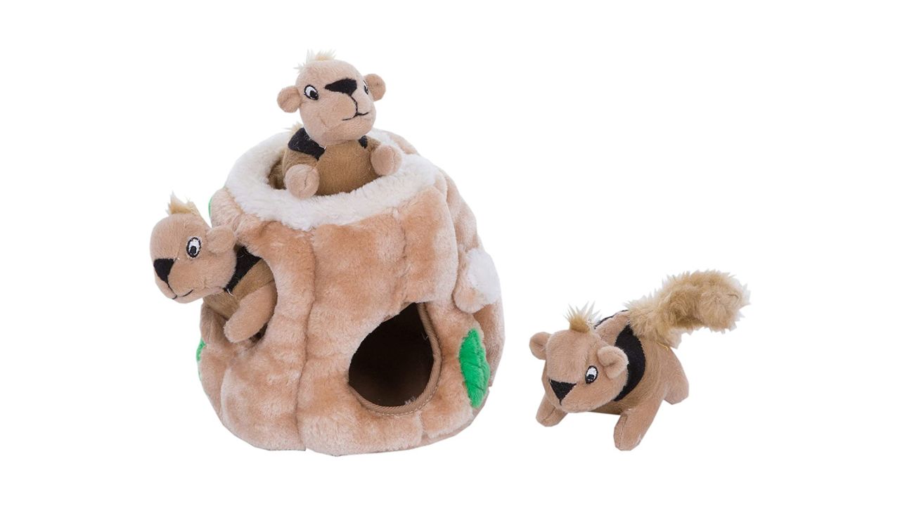 Outward Hound Hide-A-Squirrel Squeaky Puzzle Plush Dog Toy product card CNNU