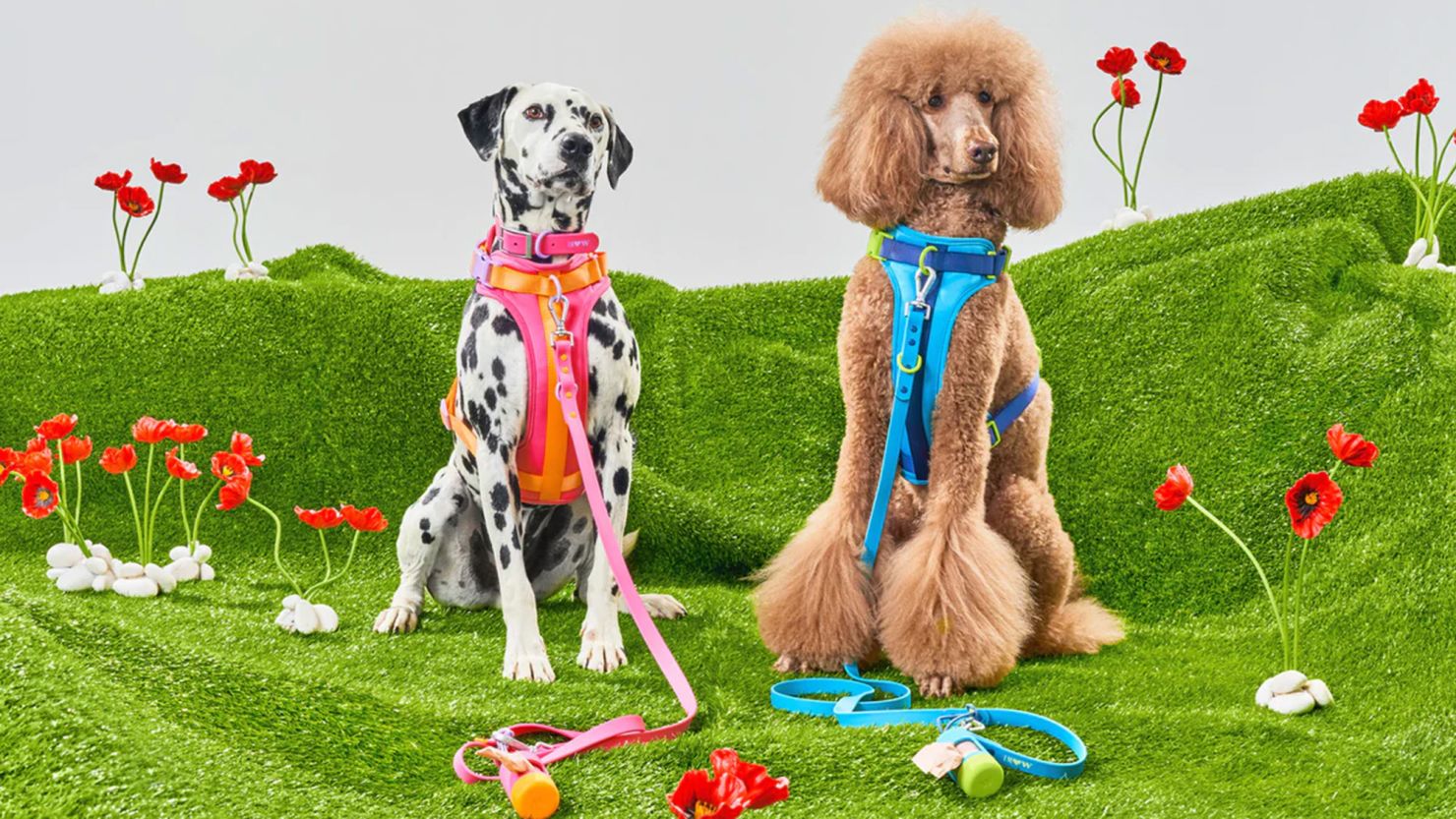12 Toys and More Your Pet Will Love