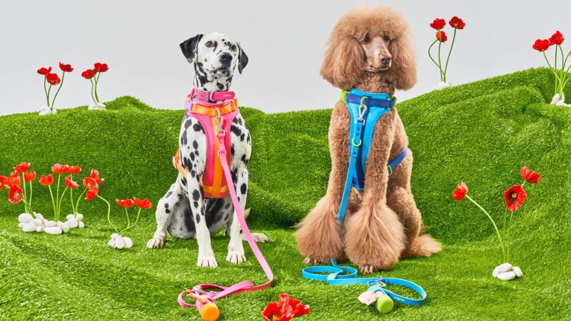 42 best gifts for dog lovers 2022