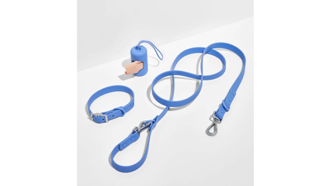 Wild One Collar Walk Kit