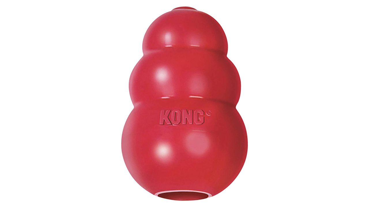 Best Kong Alternatives For Dogs In 2023 – Woof