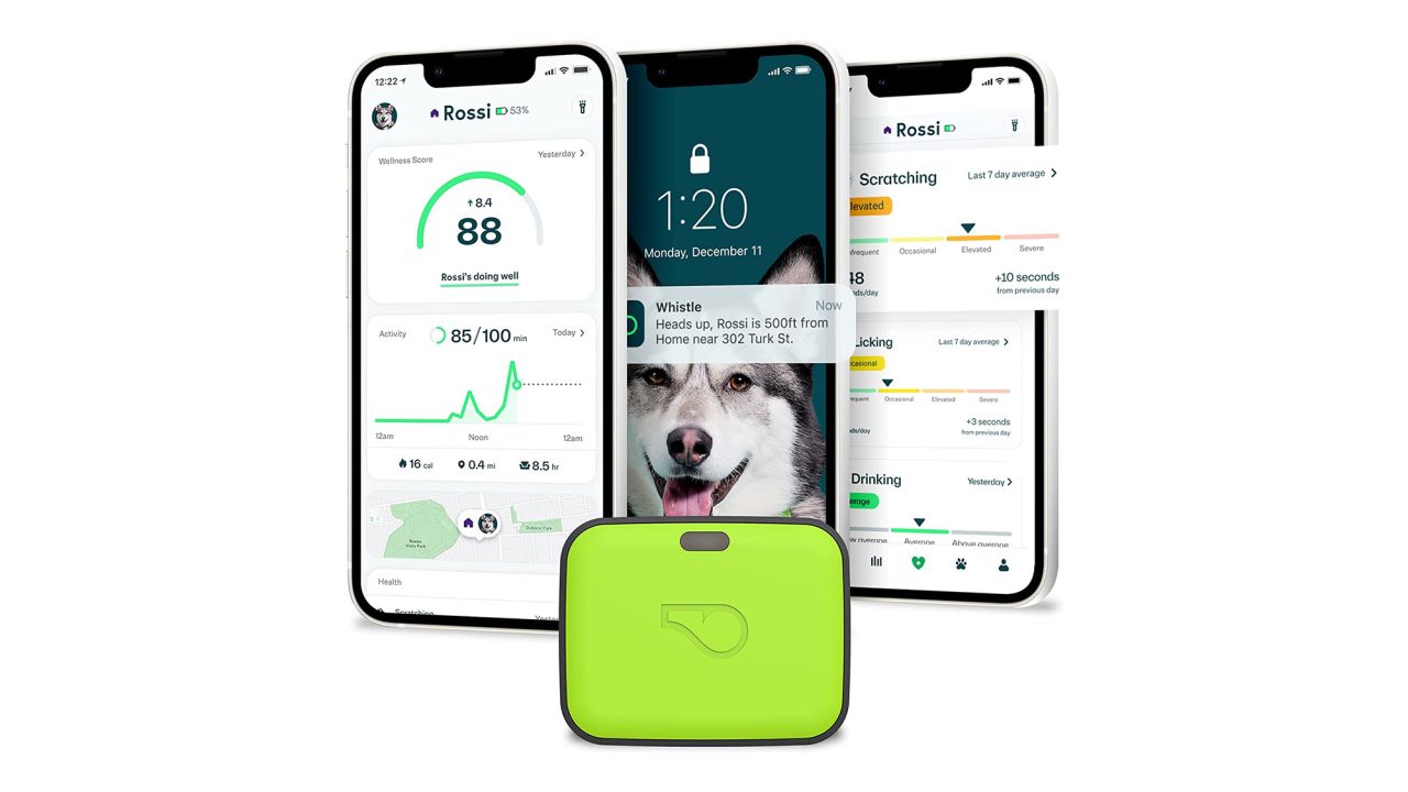 Whistle GPS + Health + Fitness Ultimate Dog GPS Tracker