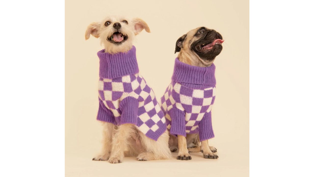 Little Beast Meet the Parents X Wray Sweater