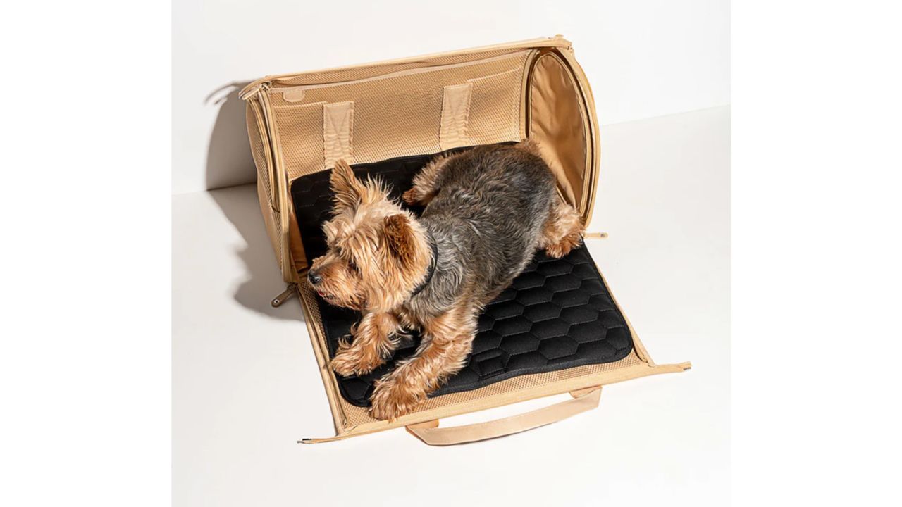 The 48 Best Gifts for Dog Lovers of 2023