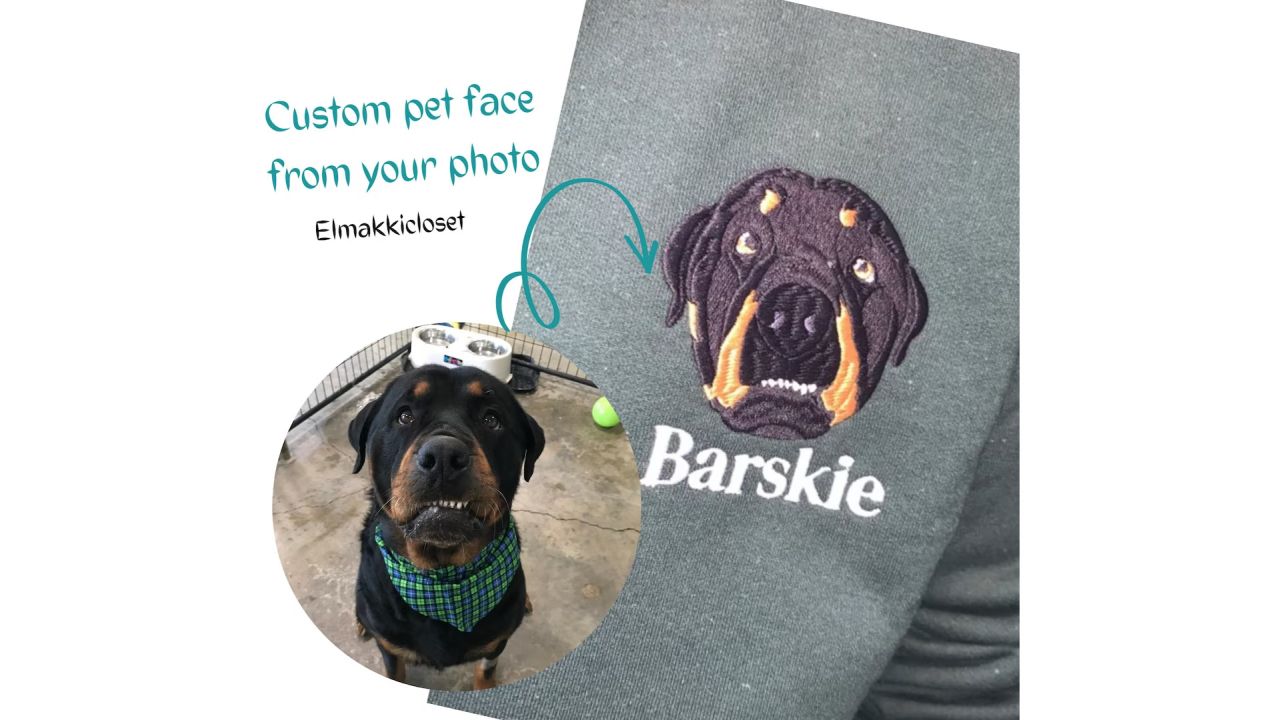 Elmakkicloset Personalized Custom Embroidered Cartoon Pet Sweatshirt