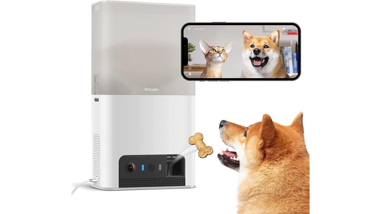Petcube Bites 2 Lite Interactive WiFi Pet Monitoring Camera