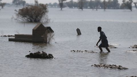 Scientists said the man-made climate crisis has intensified rainfall in Pakistan this summer, where floods have killed more than 1,500 people and plunged the country into crisis.