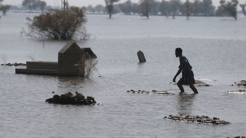 Scientists say the man-made climate crisis has increased rainfall in Pakistan this summer, where floods have killed more than 1,500 people and pushed the country into crisis.