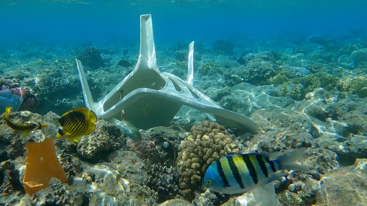 wasser underwater chair video