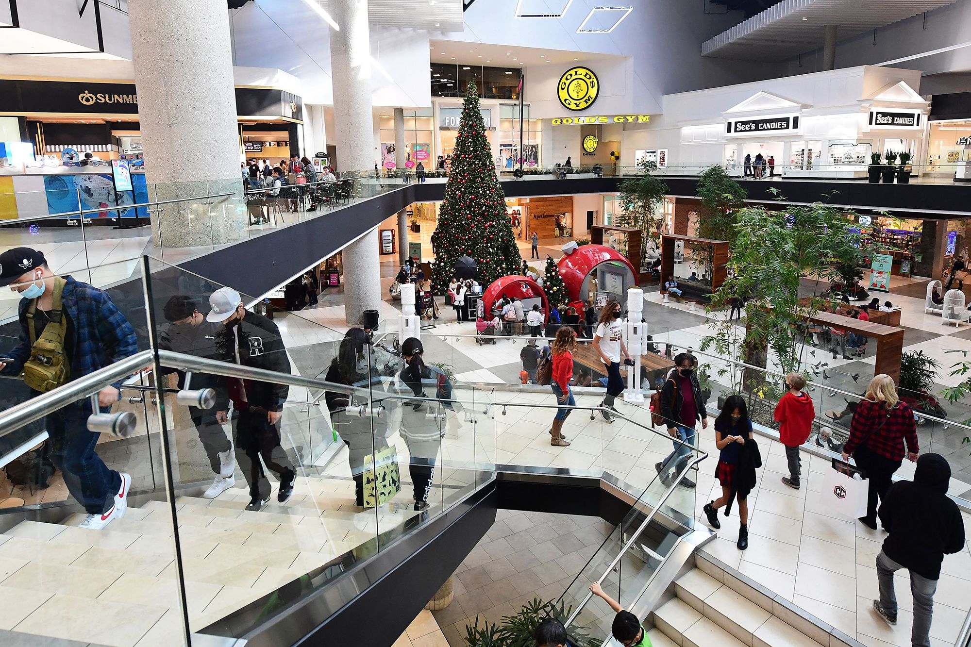 Westfield sees return of global brands for festive shopping