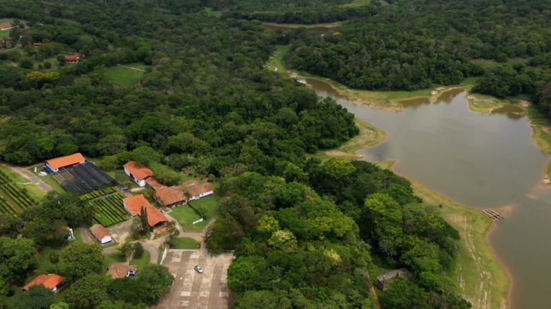 Inside the effort to rehabilitate Brazil’s forests | CNN