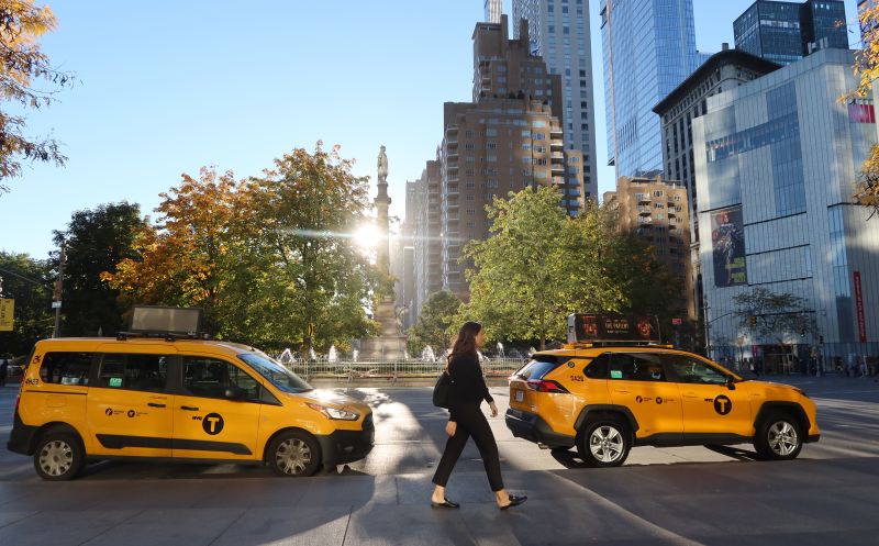 Do Nyc Taxis Take Dogs