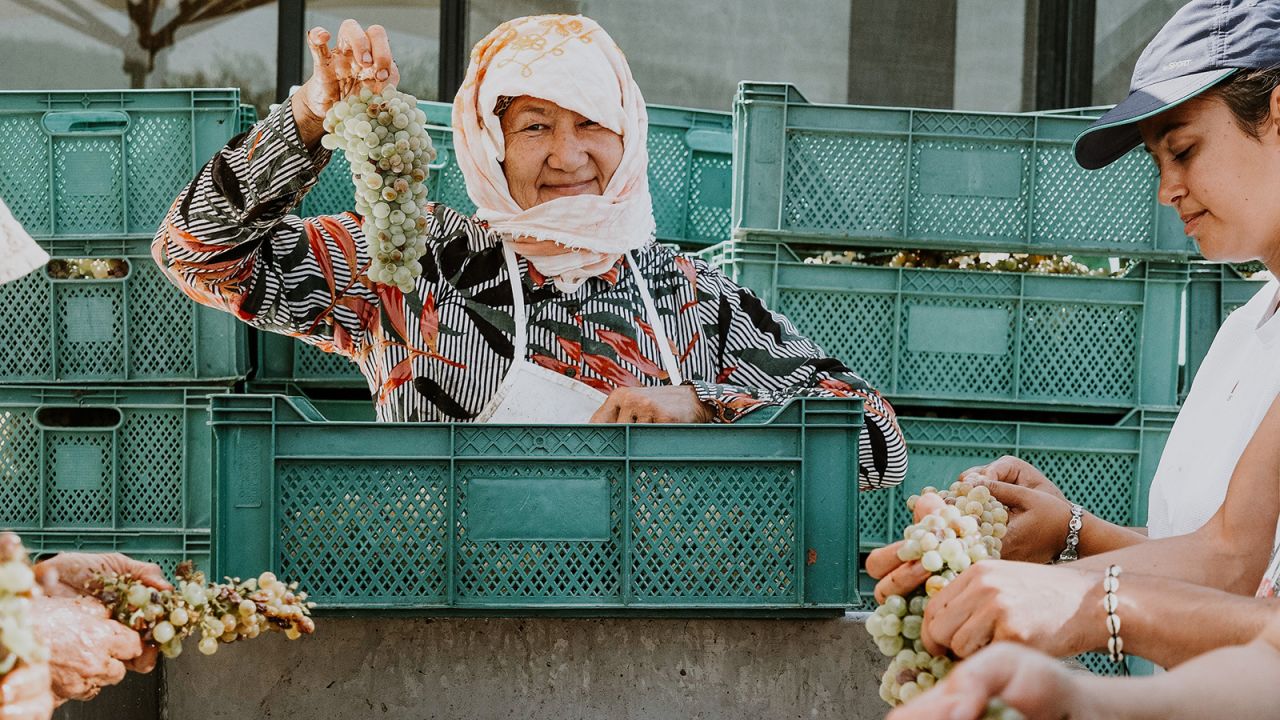 Founded in 2018, HUS is a family-run winery with a sustainable philosophy.