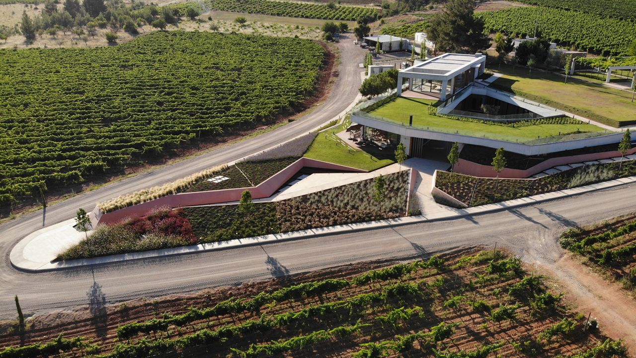 Kuzubağ is one of the youngest vineyards in the Çal region.