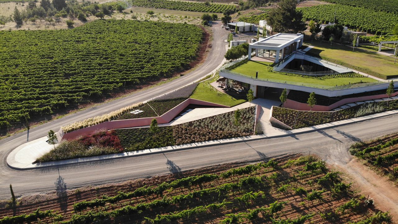 Kuzubağ is one of the youngest vineyards in the Çal region.