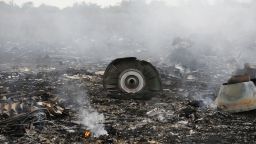 The site of a Malaysia Airlines Boeing 777 plane crash is seen near the settlement of Grabovo in the Donetsk region, July 17, 2014. The Malaysian airliner Flight MH17 was brought down over eastern Ukraine on Thursday, killing all 295 people aboard and sharply raising the stakes in a conflict between Kiev and pro-Moscow rebels in which Russia and the West back opposing sides.   REUTERS/Maxim Zmeyev (UKRAINE - Tags: TRANSPORT DISASTER POLITICS CIVIL UNREST)