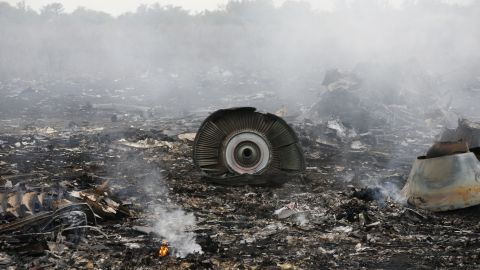 The site of the MH17 Malaysia Airlines plane crash in Donetsk, July 17, 2014. 