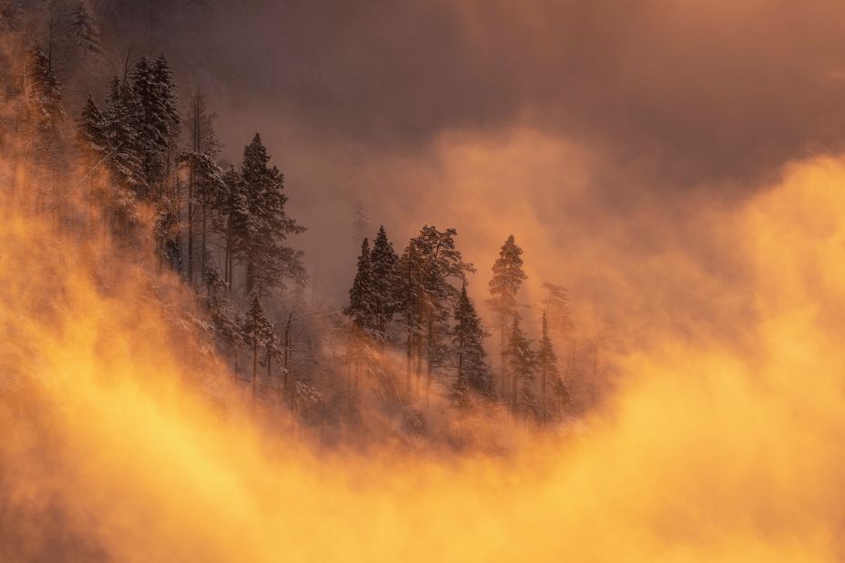 Romanian photographer Daniel Mîrlea won the "Project of the Year" category with "Forests," a set of images from the Carpathian Mountains. "It represents one of the country's natural treasuries, and even though some are parts of different natural parks, they are still endangered," he says.